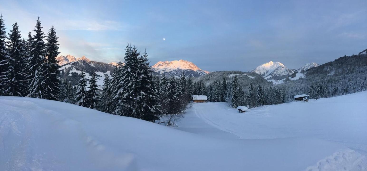Chalet Haberlhuette 菲伯布伦 外观 照片